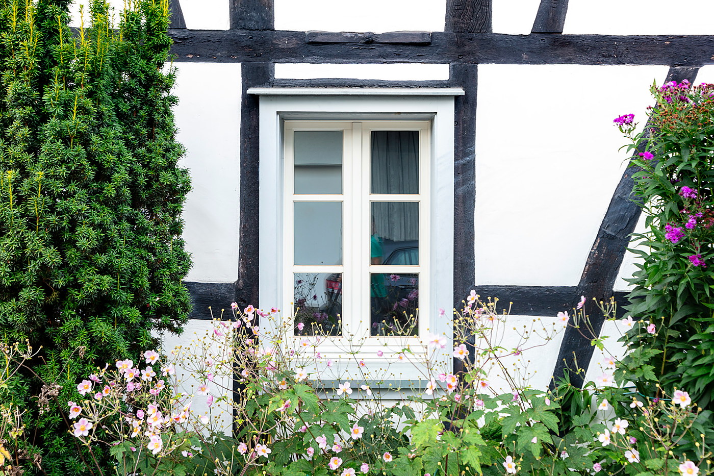Fenster mit Blumen
