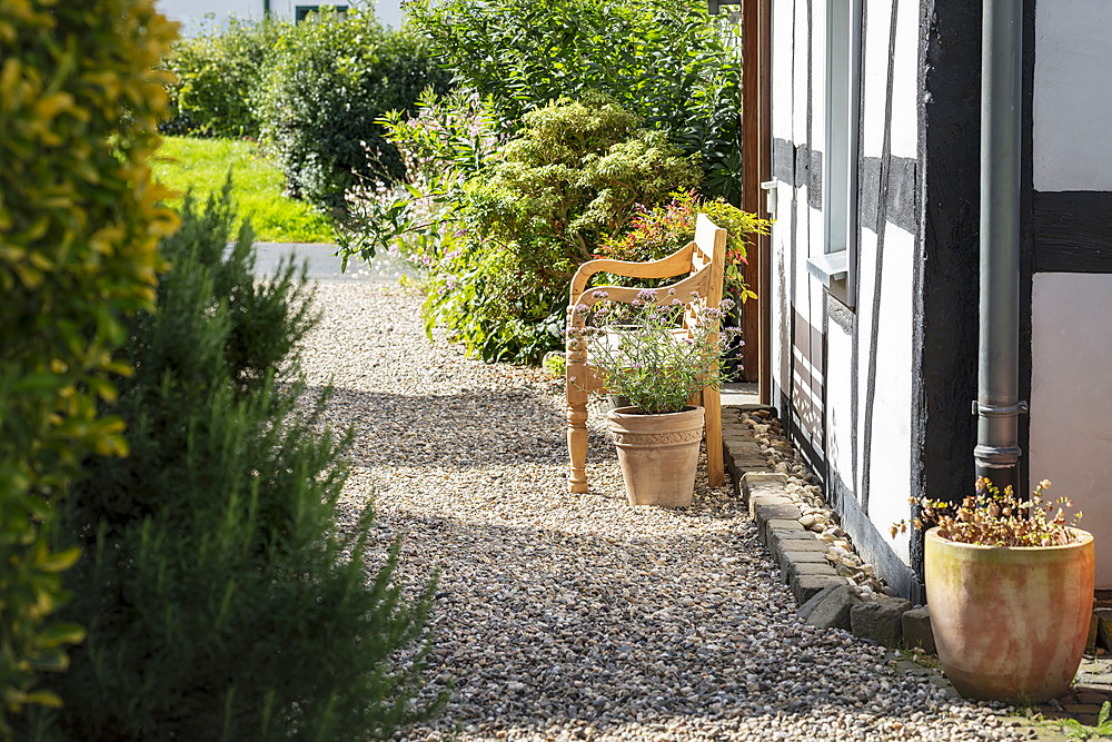 Garten mit Bank