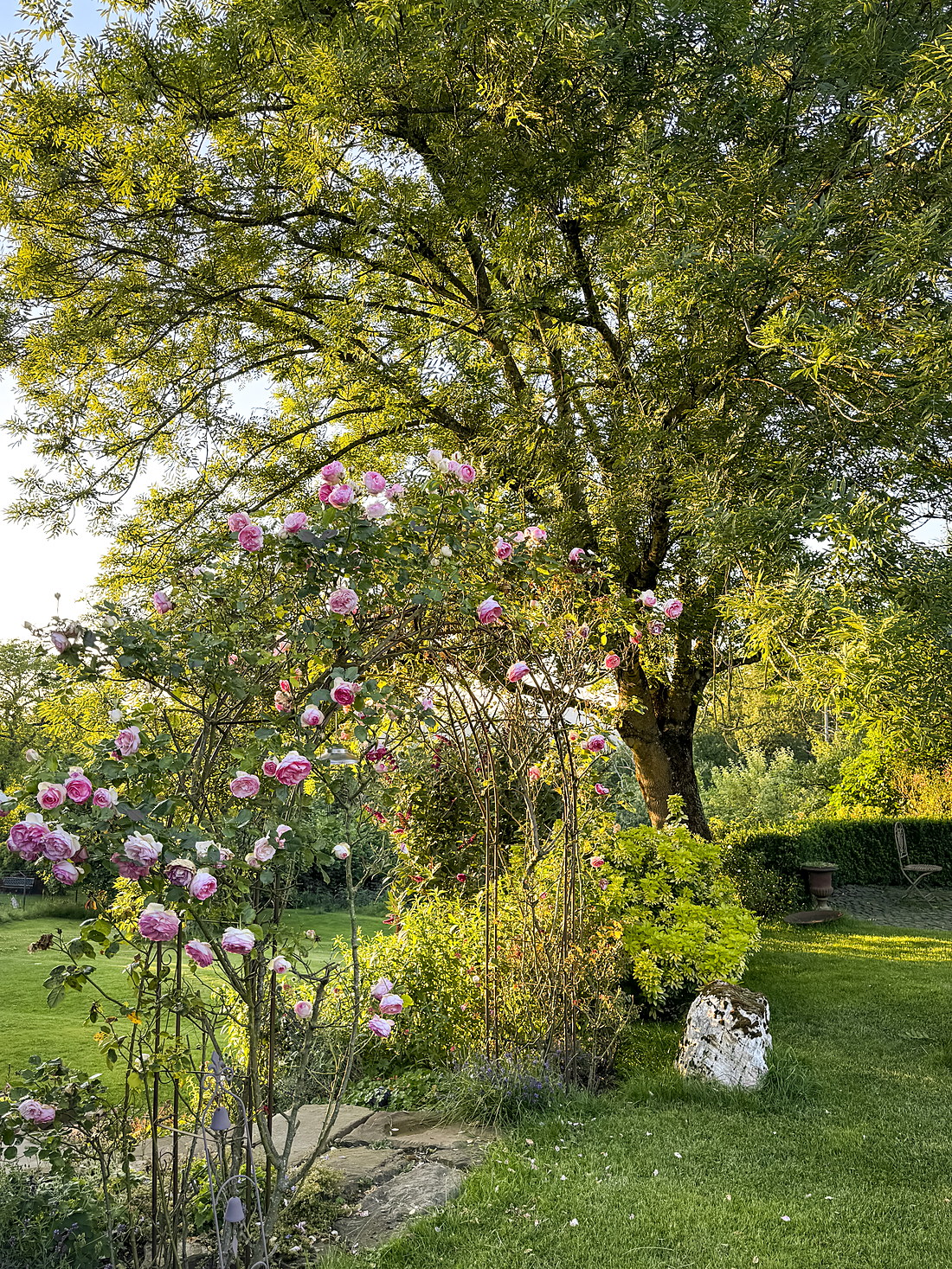 Blühender Baum im Garten